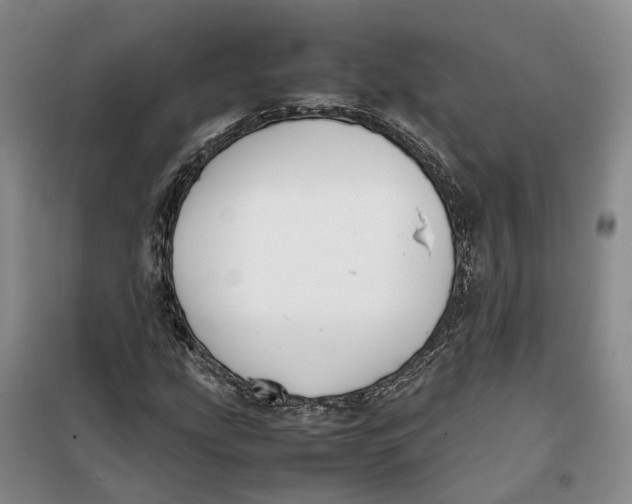 X0000099461207200805301527