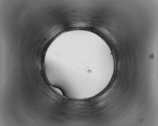 X0000099461209200805301527