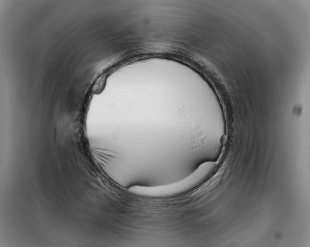 X0000099461210200805301527