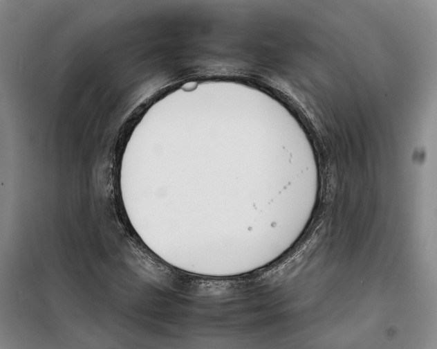 X0000099461211200805301527