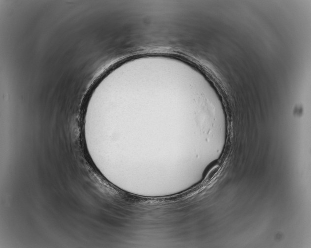 X0000099461212200805301527