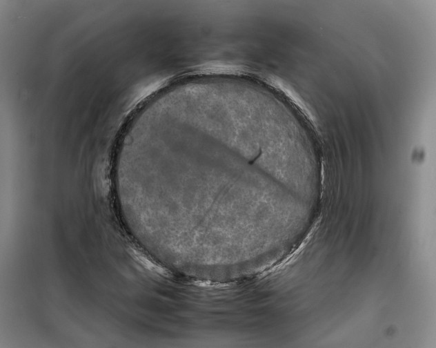 X0000099461213200805301527