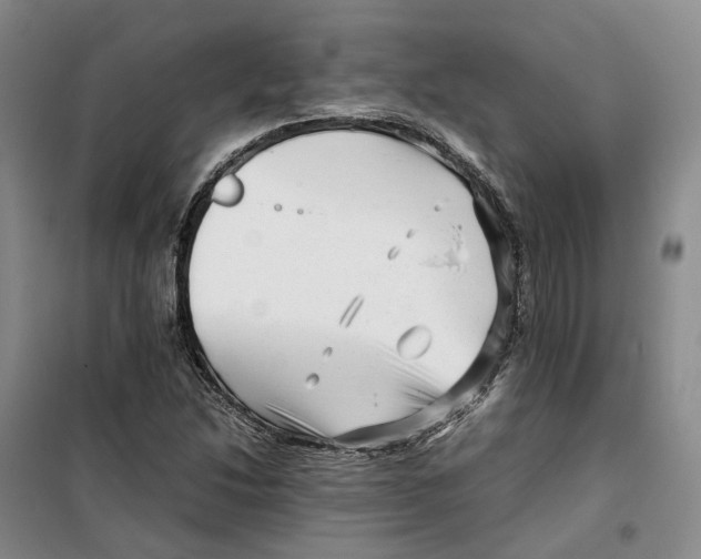 X0000099461214200805301527