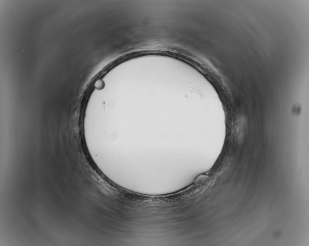 X0000099461216200805301527