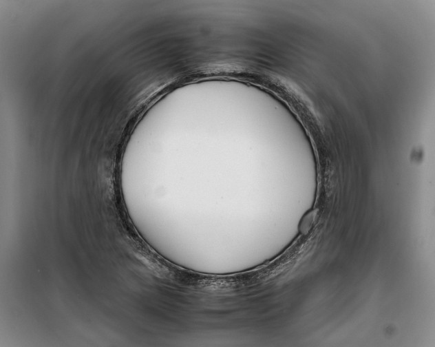 X0000099461217200805301527