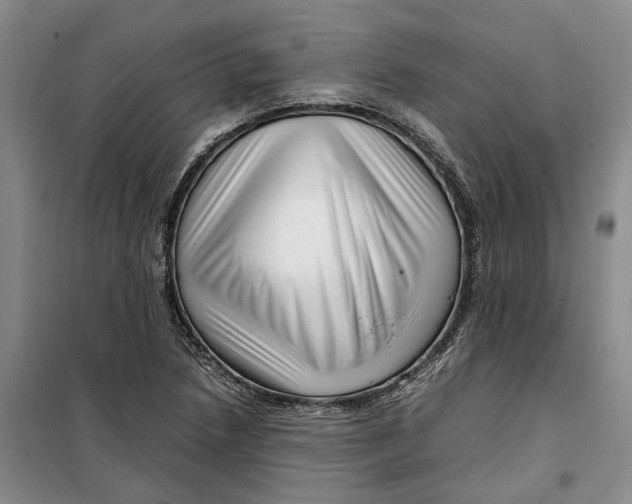 X0000099461218200805301527