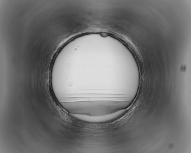 X0000099461220200805301527