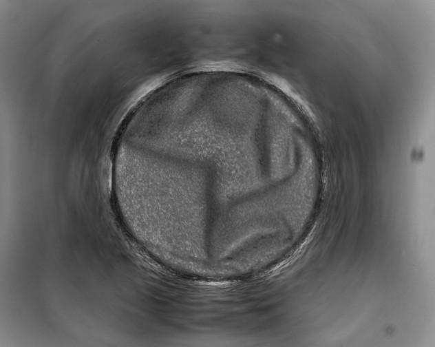 X0000099461221200805301527