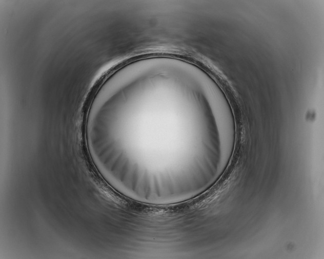 X0000099461222200805301527