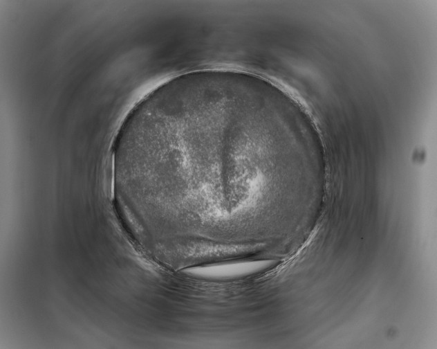 X0000099461223200805301527