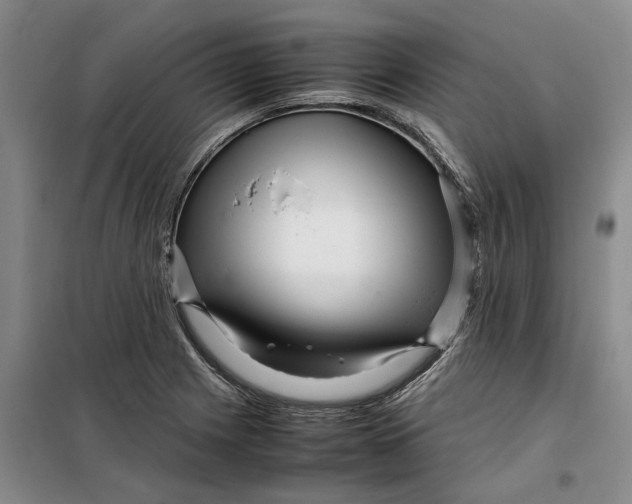 X0000099461225200805301527