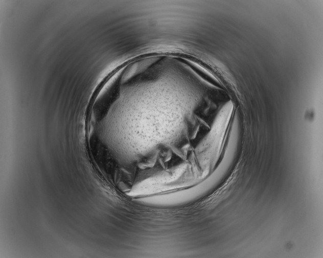 X0000099461226200805301527