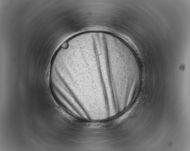 X0000099461228200805301527