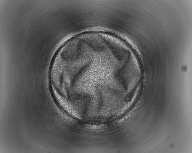 X0000099461229200805301527