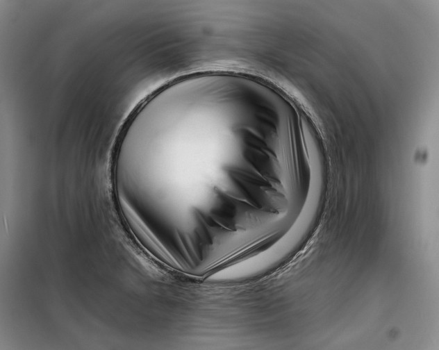 X0000099461230200805301527