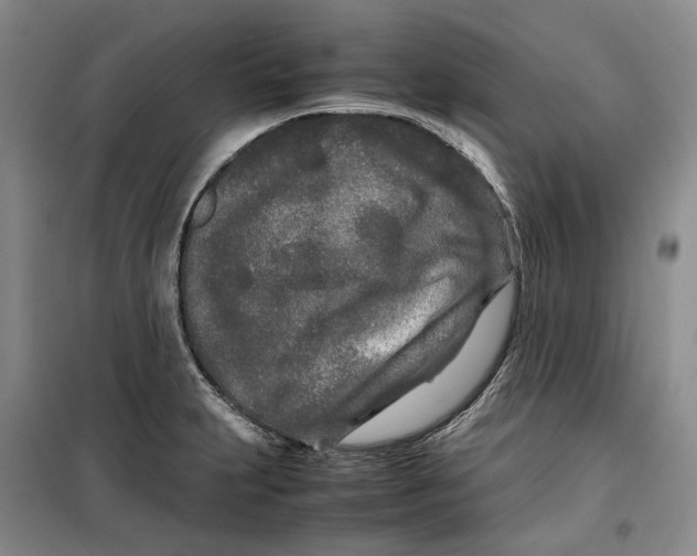 X0000099461231200805301527