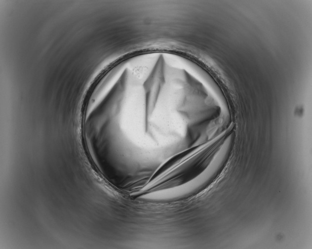 X0000099461232200805301527