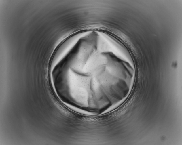 X0000099461234200805301527