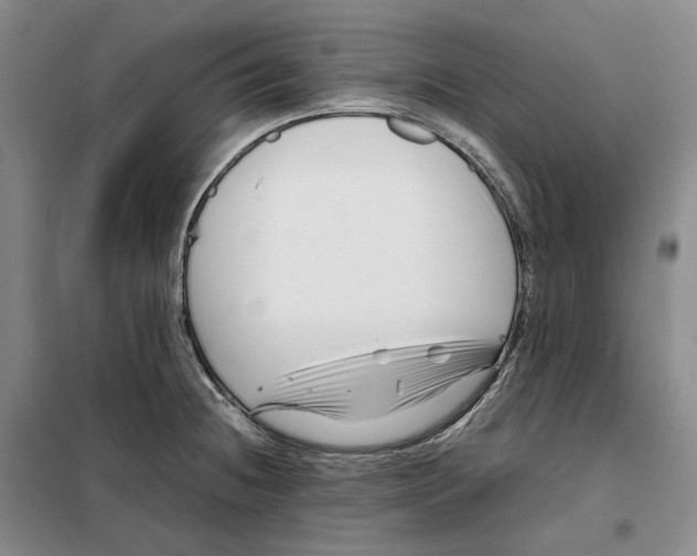 X0000099461236200805301527