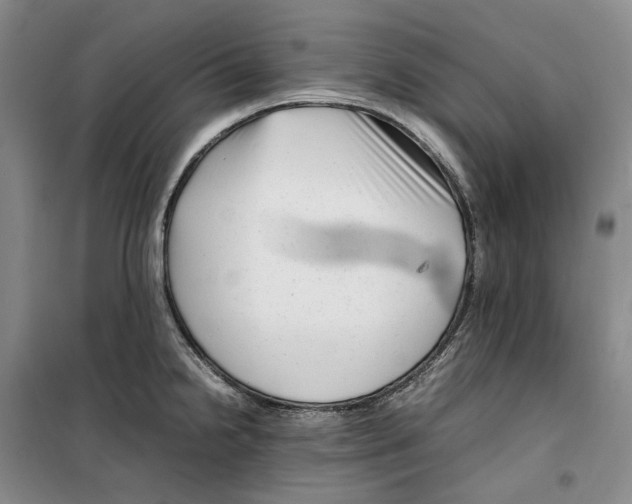 X0000099461238200805301527