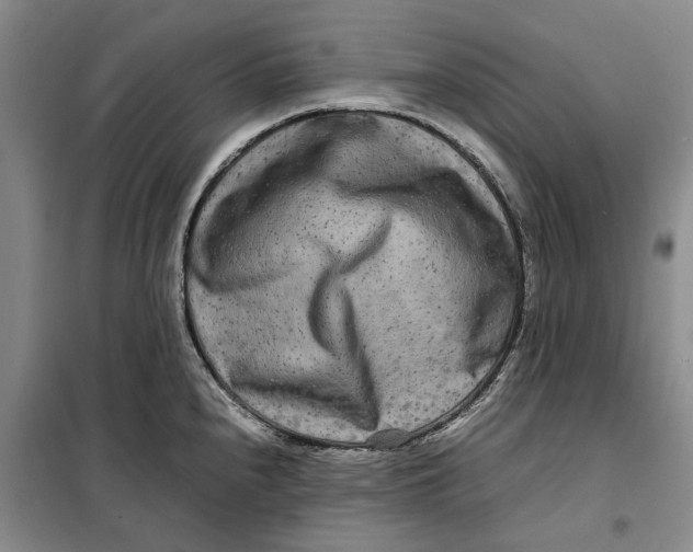 X0000099461240200805301528