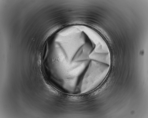 X0000099461241200805301528