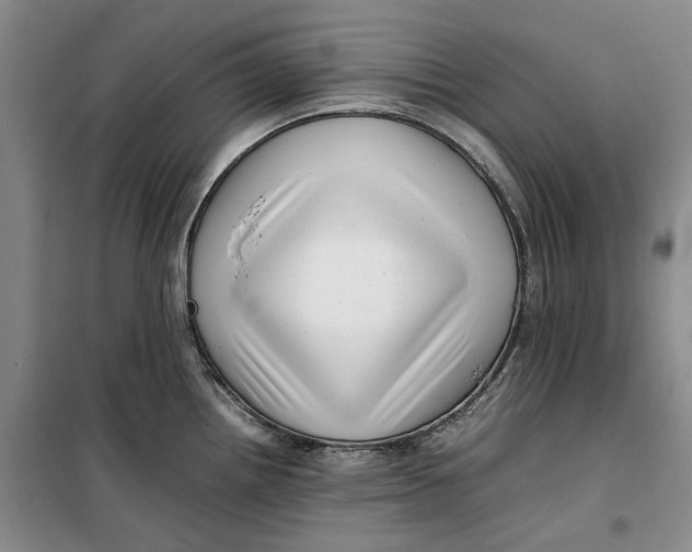 X0000099461242200805301528