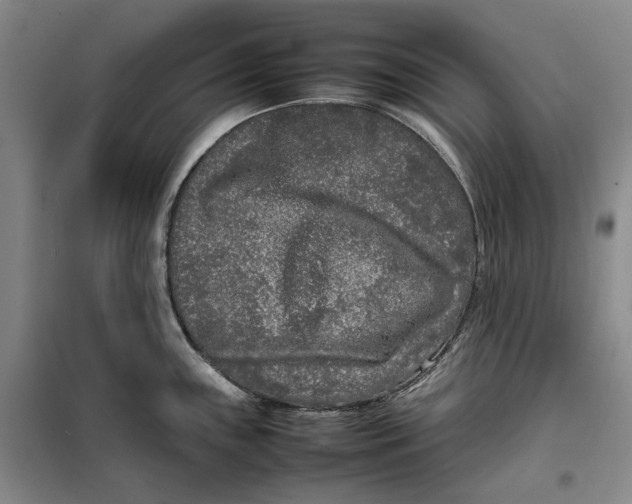 X0000099461243200805301528