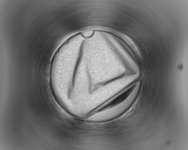 X0000099461244200805301528