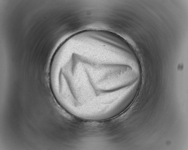 X0000099461248200805301528