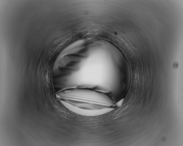 X0000099461250200805301527