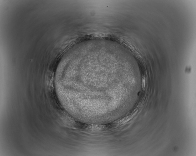 X0000099461251200805301527