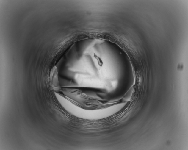 X0000099461252200805301527