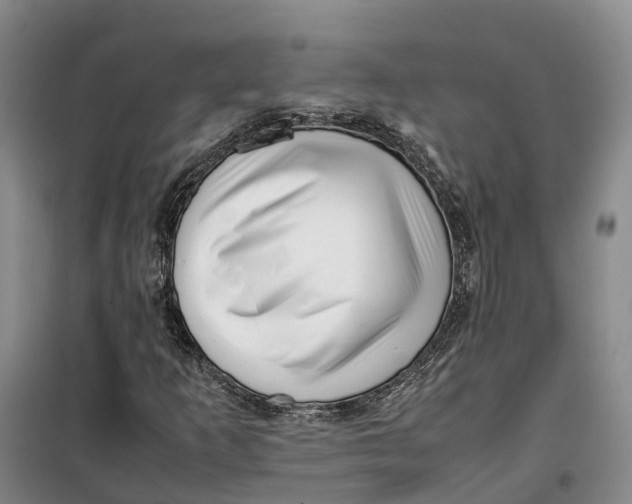 X0000099461253200805301527