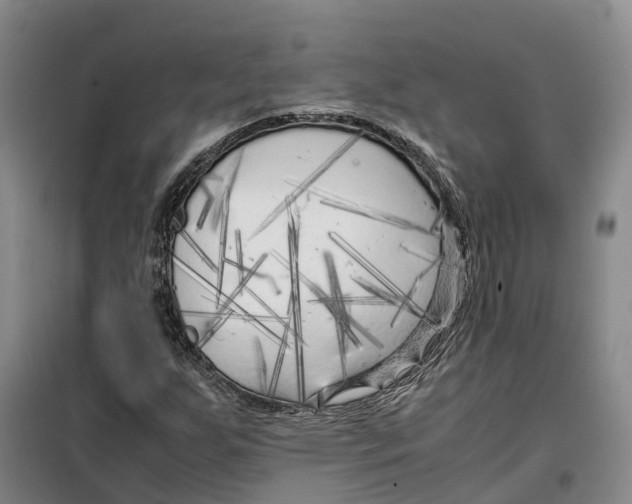 X0000099461255200805301527