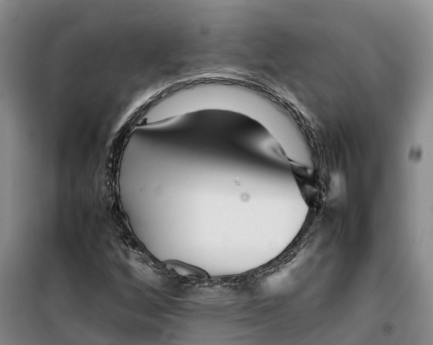 X0000099461256200805301527