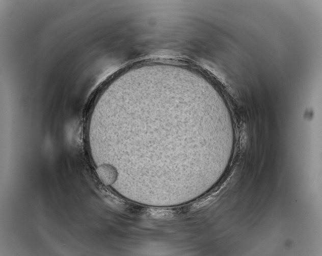 X0000099461258200805301527