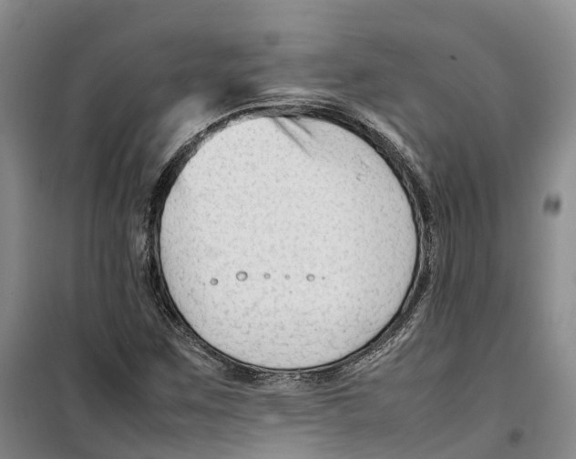 X0000099461259200805301527