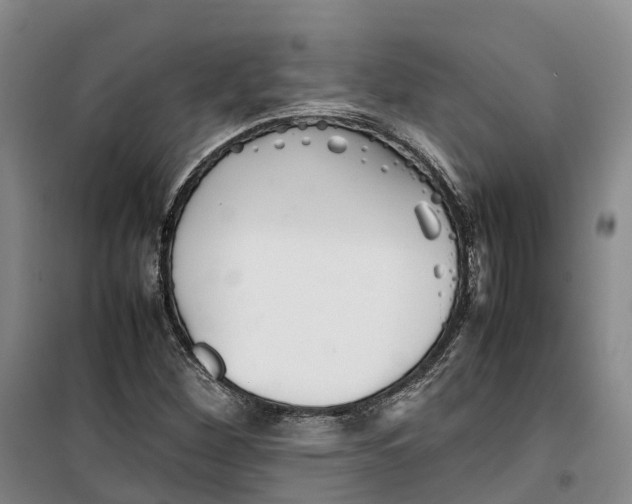 X0000099461260200805301527