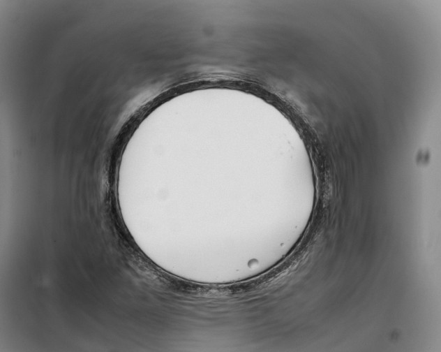 X0000099461261200805301527