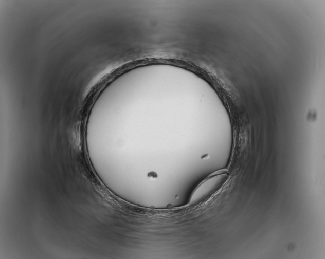 X0000099461262200805301527