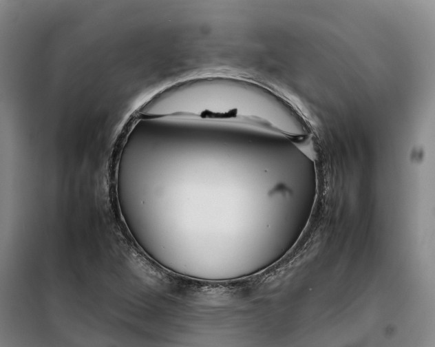 X0000099461264200805301527