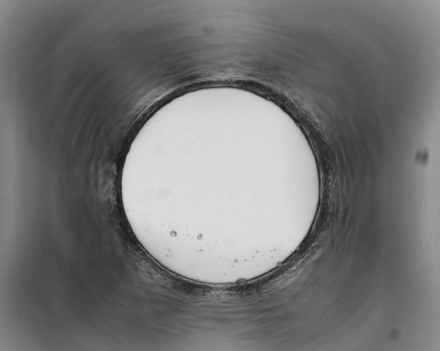 X0000099461265200805301527