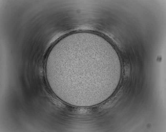 X0000099461266200805301527