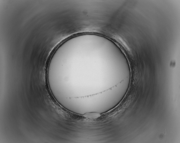 X0000099461268200805301527