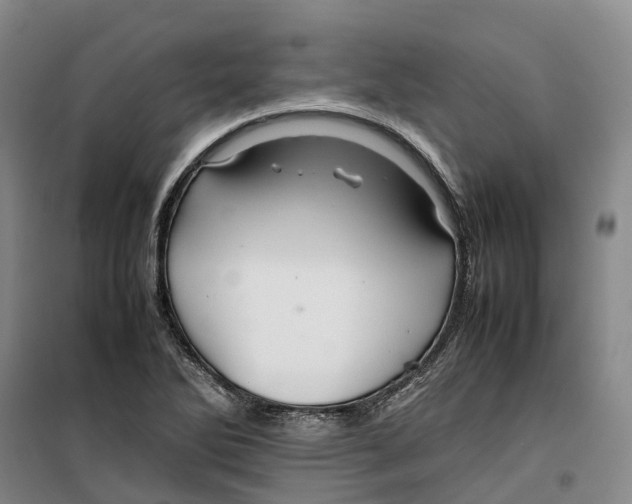 X0000099461270200805301527