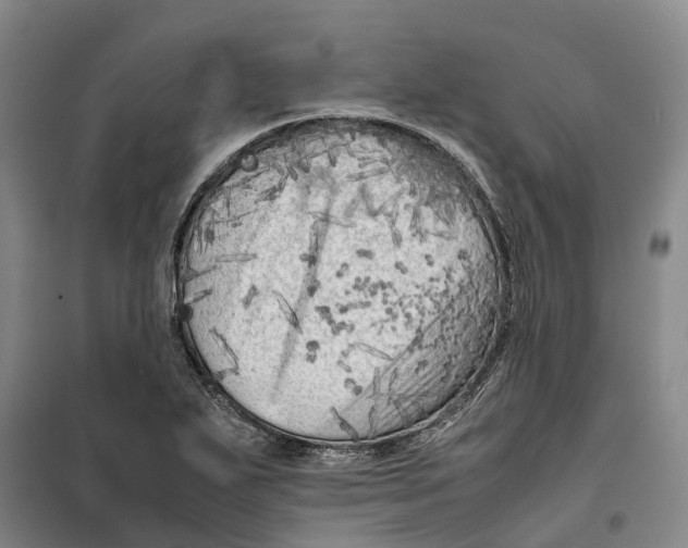 X0000099461271200805301527