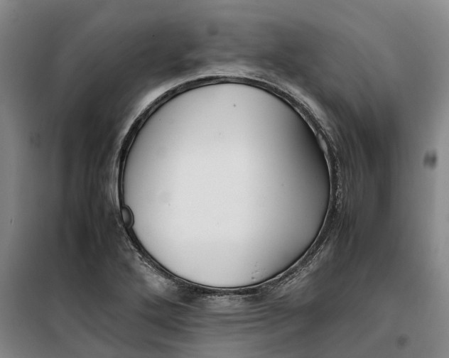 X0000099461272200805301526