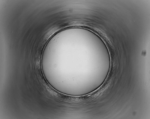 X0000099461273200805301526