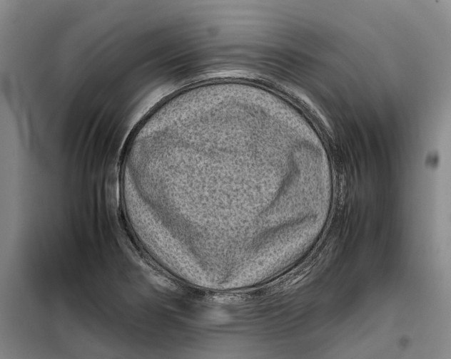 X0000099461274200805301526